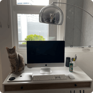 cat sitting next to a computer